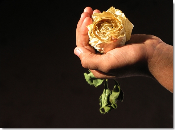 Creation of Romancing Rose: Step 1